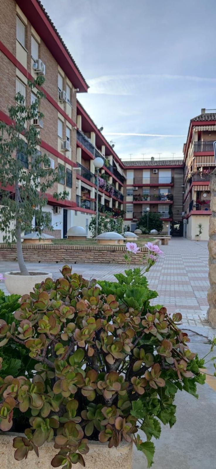 Loft A La Verita River, Parking Free Cordoba Ngoại thất bức ảnh